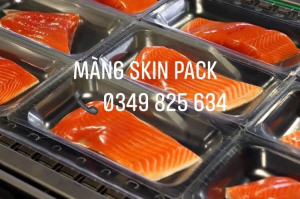 màng skin film - màng skinpack