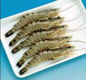 màng co pof thuỷ sản
